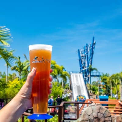 A hand holds a tall pint of beer in a SeaWorld/Aquatica glass in front of a water ride. Enjoy beer at the Seven Seas Food Festival at SeaWorld Orlando.