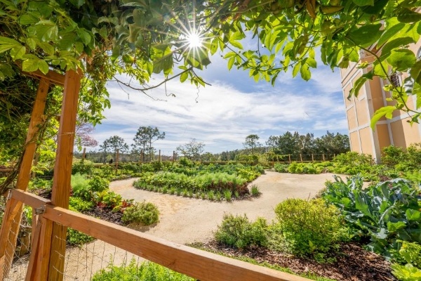 A peek through the vines at a sprawling, lush garden: Emma's Creekside Farm at Rosen Shingle Creek. 