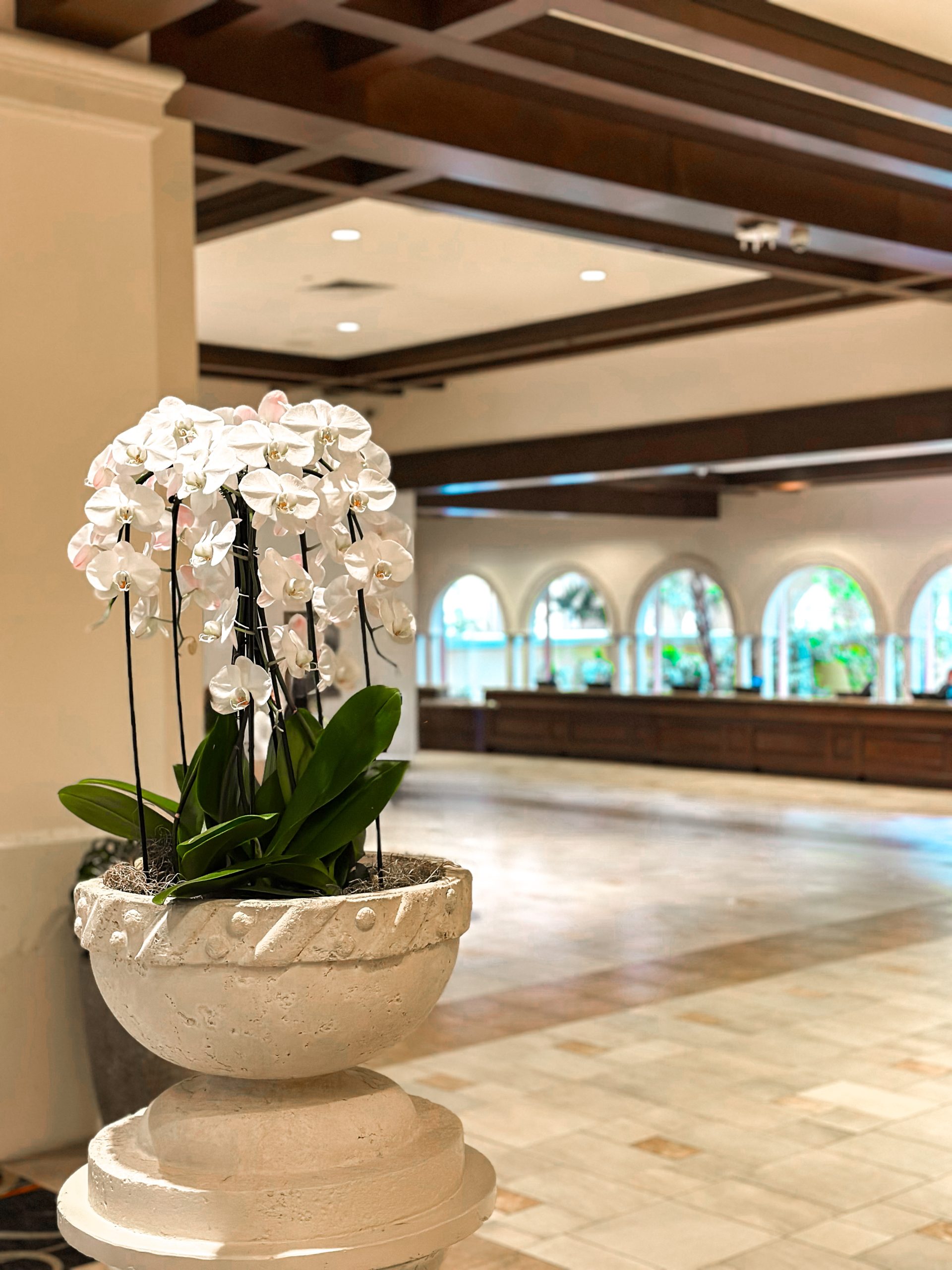 A large beautiful orchid display in a clean lobby with dark wood accents and tile floors. 