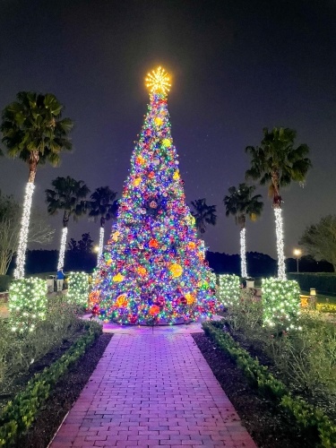 A sparkling lit Christmas tree at night in the courtyard of Rosen Shingle Creek. 