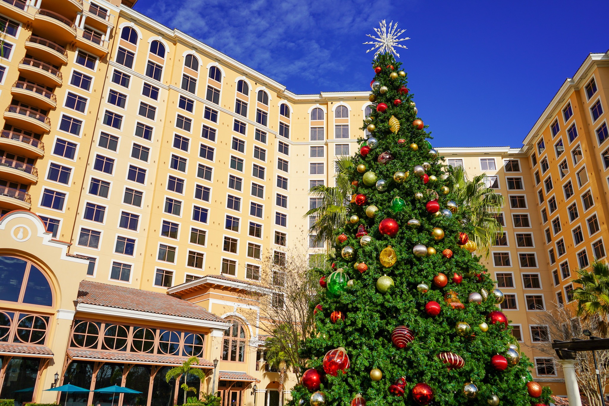 A decorated Christmas tree and the exterior of Rosen Shingle Creek. 
