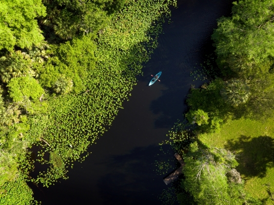 An aerial shot of a kayak gliding through bright green marsh water.