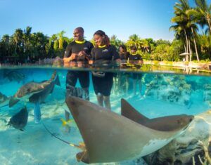 Animal Lovers Discovery Cove