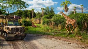 Animal Lovers Disney Safari