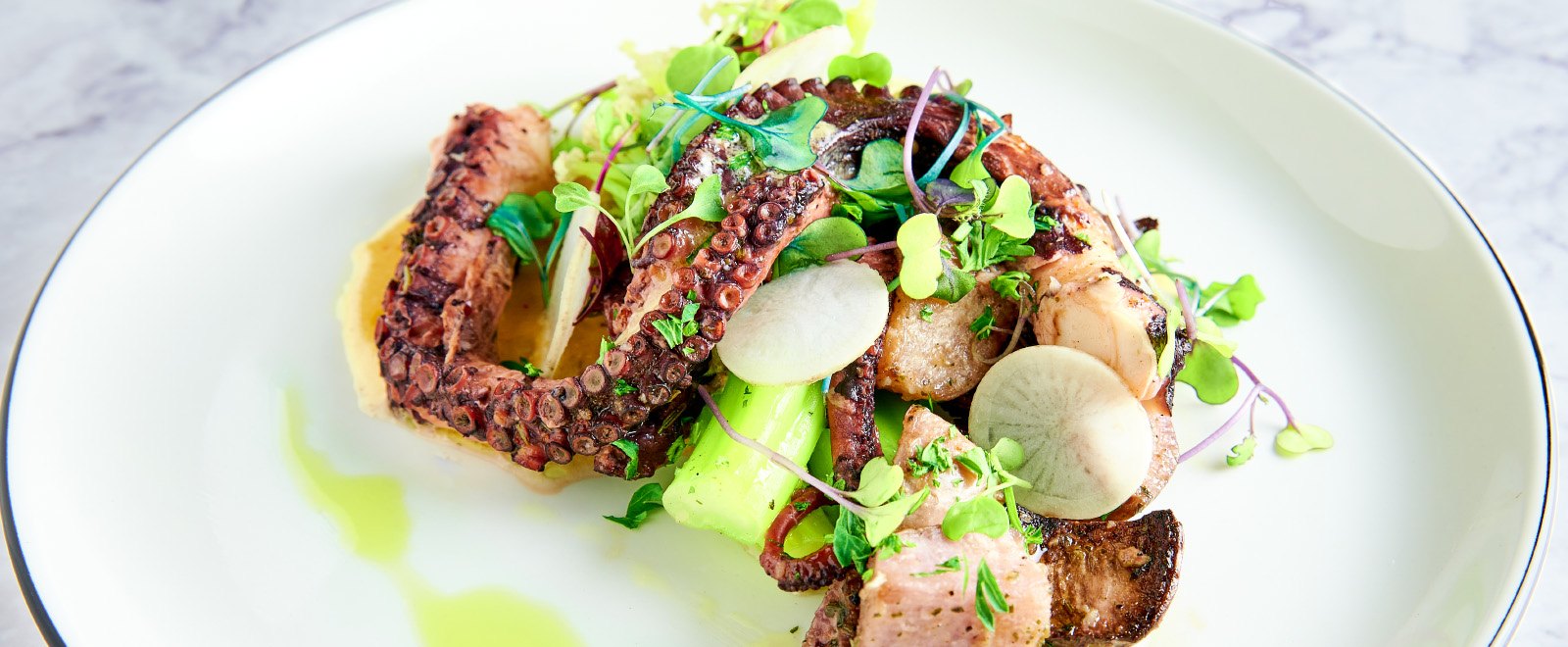 A plate of seared octopus with greens and sliced radish