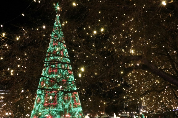 A towering Christmas tree made of twinkling lights as sparkles light up a night sky.