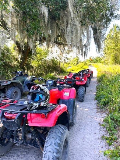 A row of several red ATVs on a sandy path lined with grass and beneath the mossy boughs of a tree, with a helmet resting on the back of the closest ATV to the camera. 