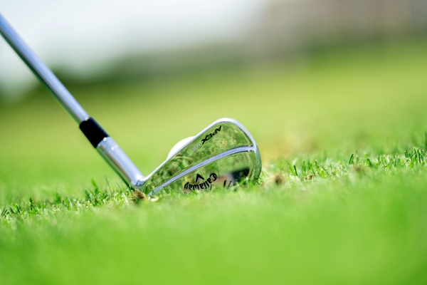 A Golfer's Guide to Shingle Creek Golf Club: Course Highlights and Tips 7 The head of a golf club resting on the grass at Shingle Creek Golf Club located next to Rosen Shingle Creek in Orlando.