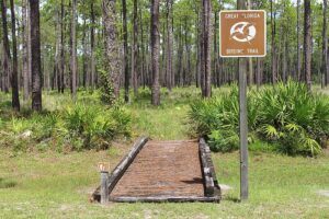 Great Florida Birding Trail Sign Featuring Swallow-Tailed Kite