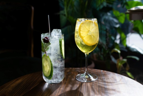 A tall tumbler and a wine glass with light cocktails, one garnished with mint and cucumbers, the other with lemon slices, on a wooden table against dark greenery.