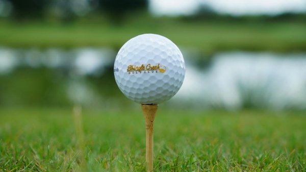 A Shingle Creek Golf Club golf ball sits on a wooden tee in grass.
