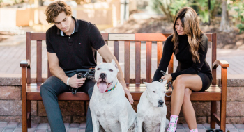 A couple sit on a bench while petting their dogs at Rosen Shingle Creek, a dog friendly hotel.