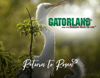 Luxurious Stay with Entertainment