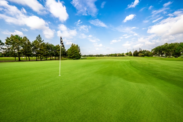 A Golfer's Guide to Shingle Creek Golf Club: Course Highlights and Tips 8 A putting green overlooking a fairway at Shingle Creek Golf Club located next to Rosen Shingle Creek in Orlando.