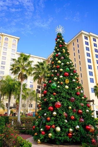 A decorated Christmas tree and palm trees outside Rosen Shingle Creek. 