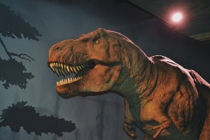 Dinosaur T-Rex which you can see at Jurassic Quest.