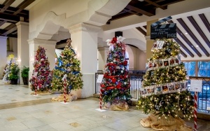 Christmas trees at Rosen Shingle Creek