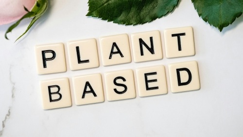 A close-up of scrabble tiles spelling out "plant based" with leaves at the top. 